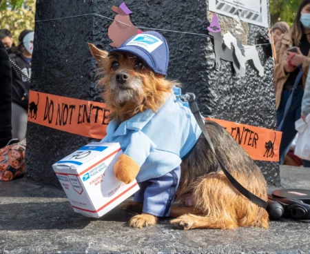 Desfile de México en Brooklyn con piñatas de Trump y críticas a ICE