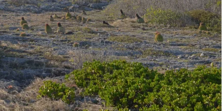 Victoria aprueba plan de 200 páginas para el Puerto Seco