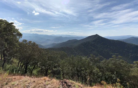 Ayuntamientos de la Sierra Sur de Oaxaca denuncian abandono en salud, educación, servicios y carreteras