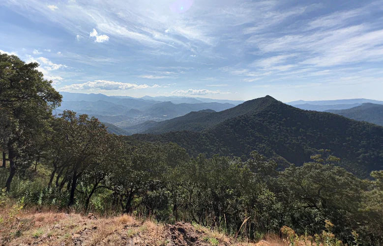 Ayuntamientos de la Sierra Sur de Oaxaca denuncian abandono en salud, educación, servicios y carreteras Ayuntamientos de la Sierra Sur de Oaxaca denuncian abandono en salud, educación, servicios y carreteras
